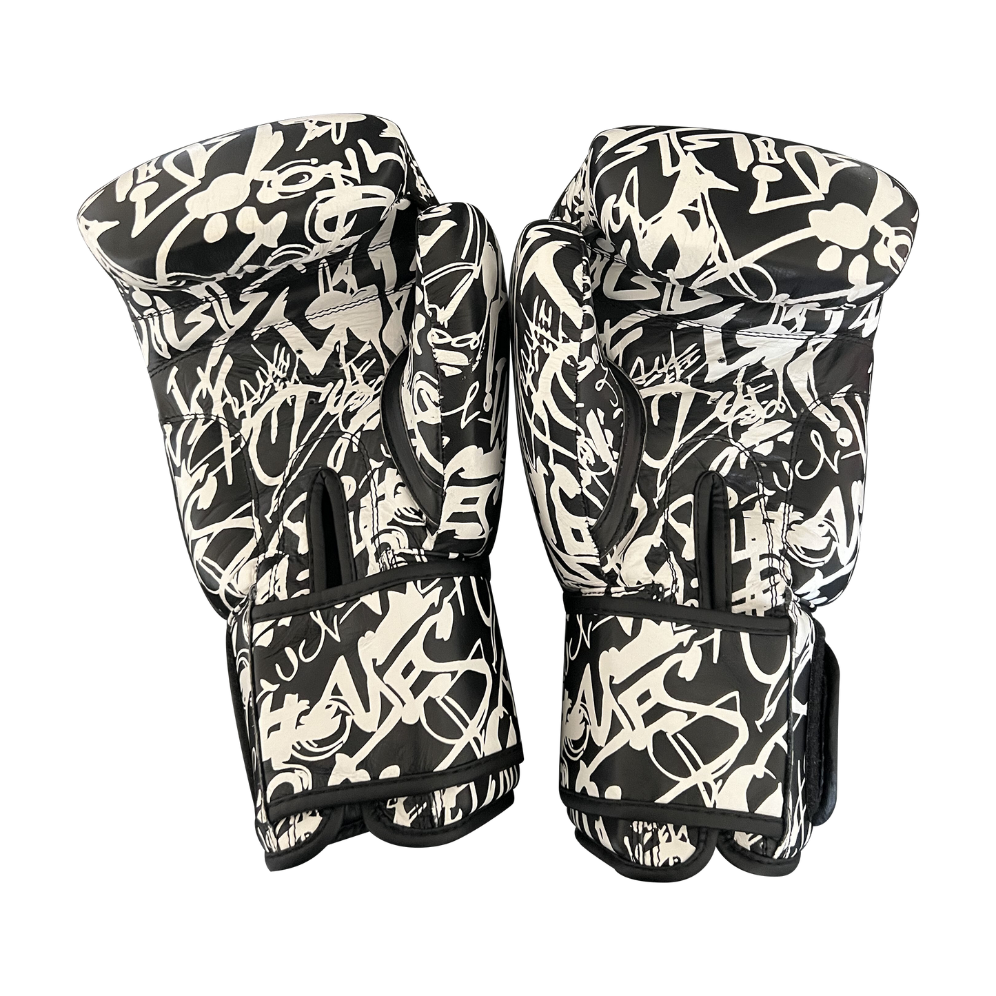 Premium Boxing Gloves