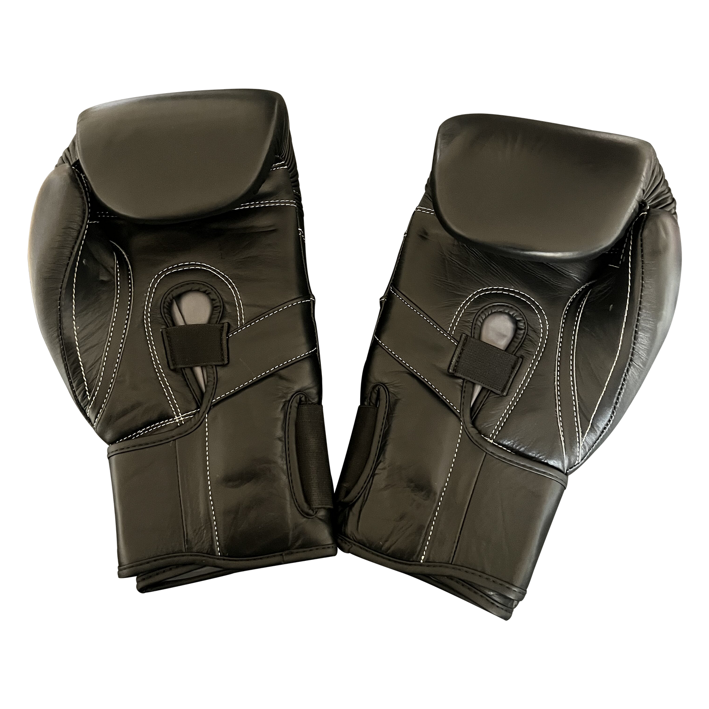 Premium Boxing Gloves